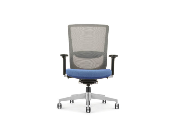 Dionne Mid Back Mesh Chair